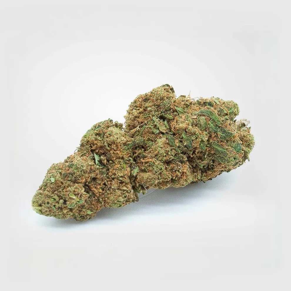 [RI1588] Amnesia CBD - 5g