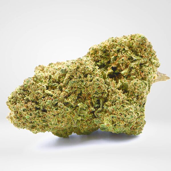 [RI1584] Gelato CBD - 5g