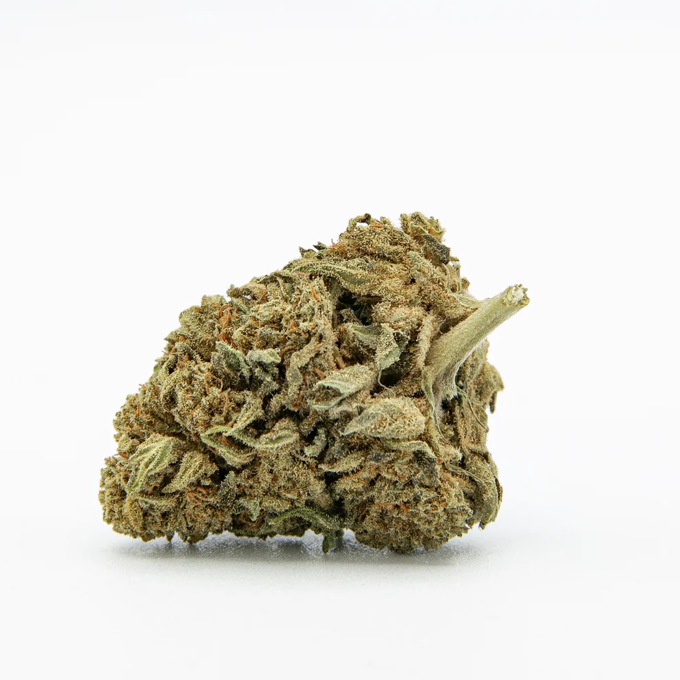 [RI1650] Watermelon CBD - 1g
